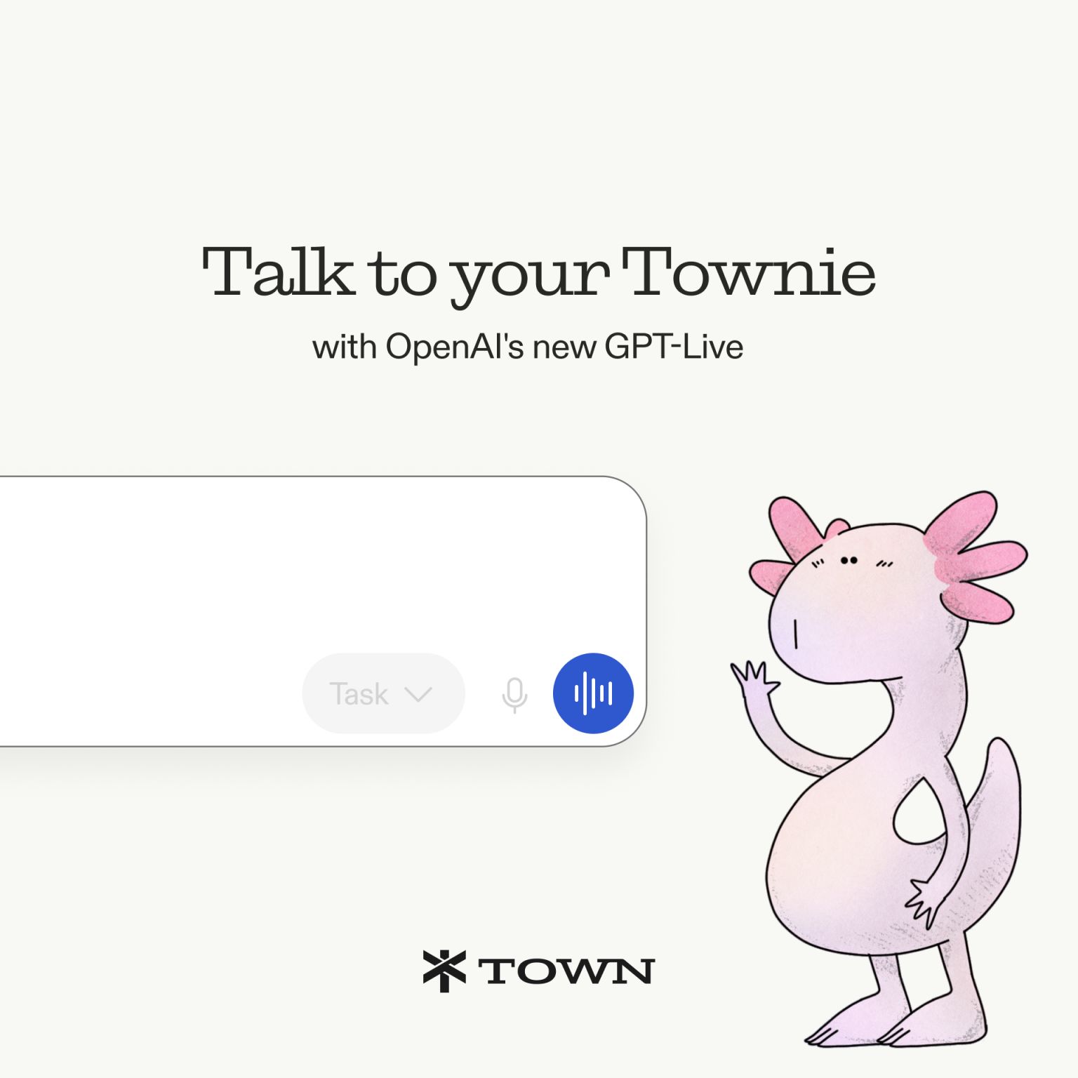 Demo of Talk to your Townie